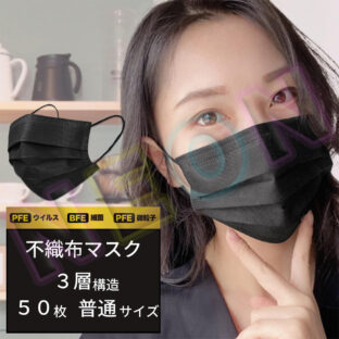 マスク 【黒】個別包装